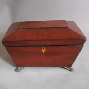 Sarcophagus Mahogany Tea Caddy On Lion Paw Feet With Lion Ring Pull Handles Antique Regency c1815